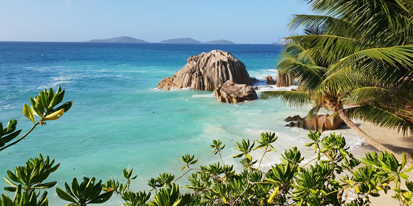 Seychelles offers stunning white sand beaches, crystal-clear waters, and lush rainforests.