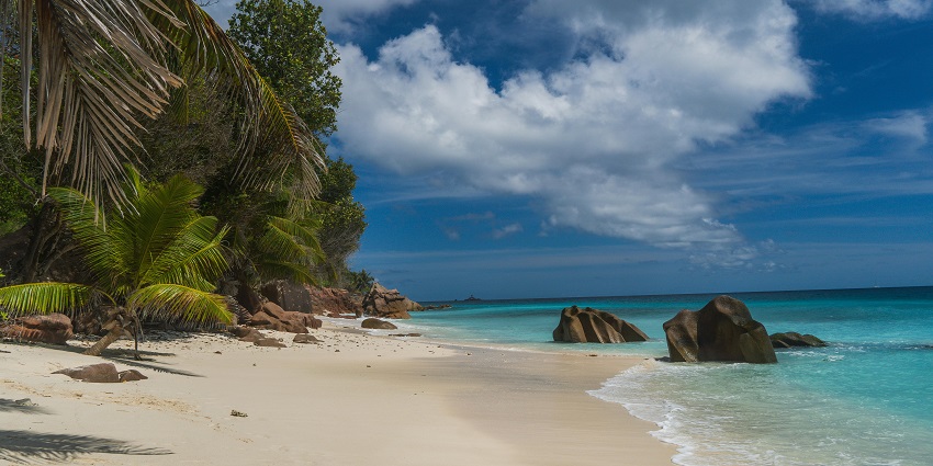 An image of tropical beach with palm trees, granite rocks, white sand, and turquoise ocean