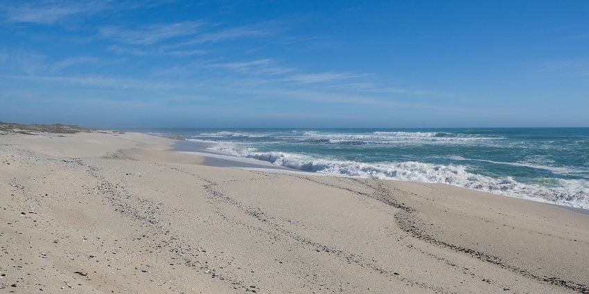 Shaam Beach is a secluded haven, offering scenic landscapes and serene relaxation