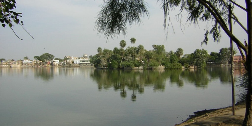 Shahpura Lake, a famous lake in Bhopal with a large water body, green palm trees