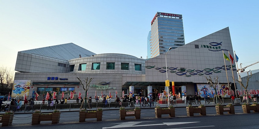 Shanghai Ocean Aquarium, is among popular aquarium museums in the world that you can visit