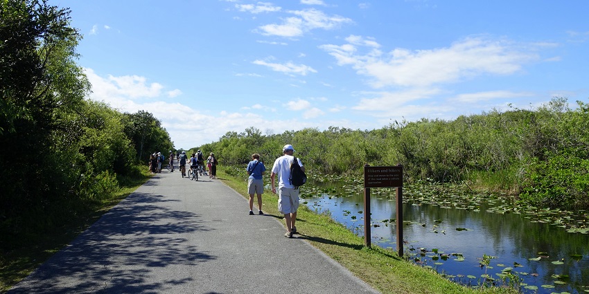 An image of Shark Valley Observation Tower near Everglades National Park