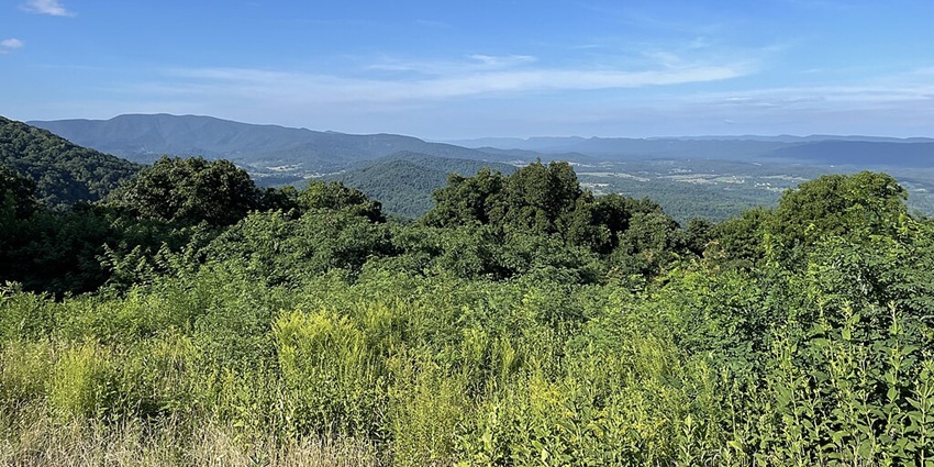 A beautiful view of Shenandoah National Park, showcasing rolling hills and lush greenery, one of the best national parks in the US.