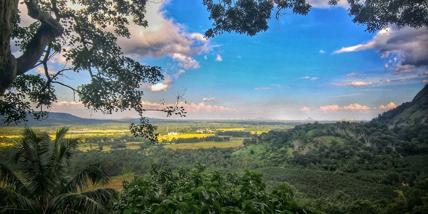 Image showing the Shevaroy Hills in Yercaud, depicting the terrain and natural landscape.