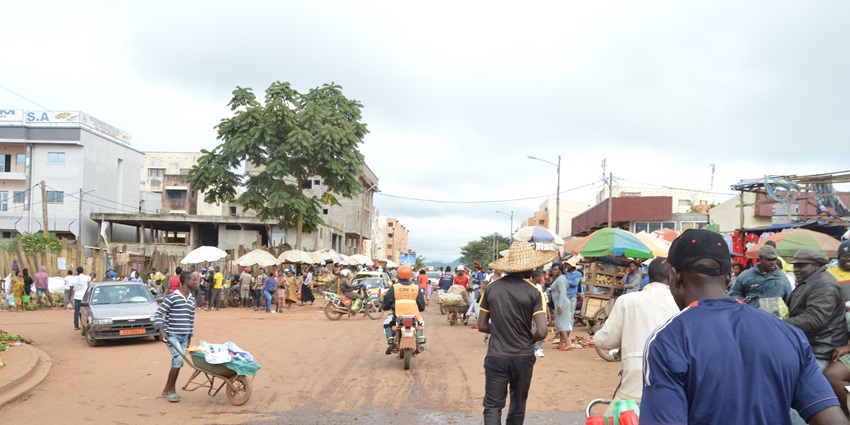 Exploring the Mendong market in Yaounde is one of the best things to do in Cameroon