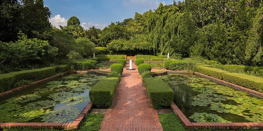 Scenic view of the Singapore botanic gardens