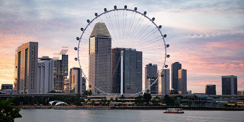 A stunning view of the flyer near the Lee Kong Chian Natural History Museum