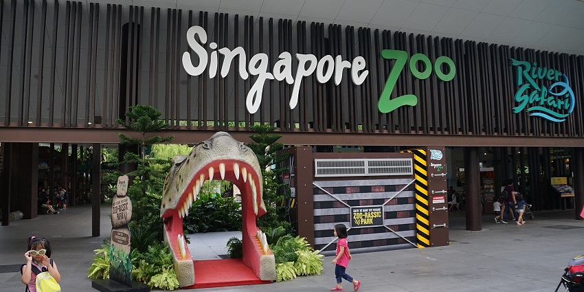 Experience immersive wildlife exhibits, night safaris, and animal species at Singapore Zoo.