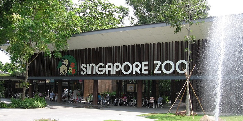 The entrance area of the zoo near offering an ideal escape for animal lovers