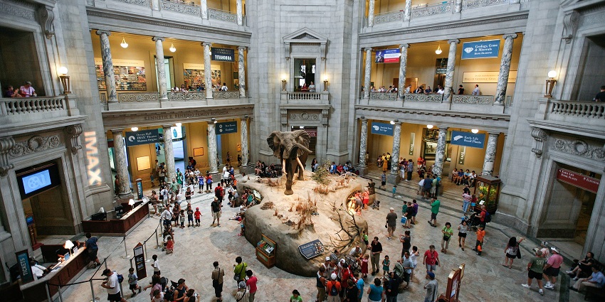 The grand exterior of the Smithsonian National Museum of Natural History in Washington, D.C.
