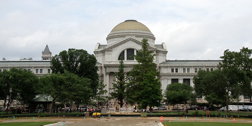 Explore iconic insect displays at the Smithsonian National Museum of Natural History