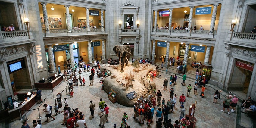 An image of the Smithsonian National Museum of Natural History in the USA.