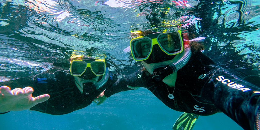 Explore vibrant coral reefs, colourful tropical fish, and crystal-clear waters in Roatán, Honduras.