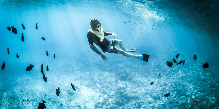 When visiting the Viking Cave, you can also try snorkeling in the Maya Bay for a memorable experience.