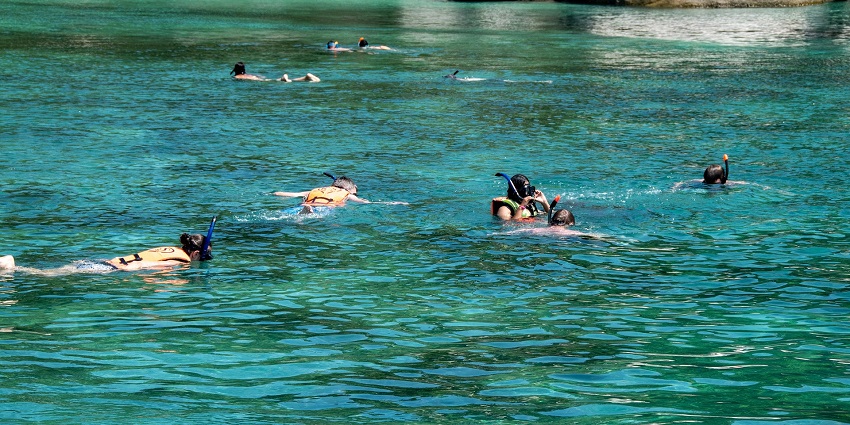 People snorkelling in the ocean, exploring the best beaches for adventure sports