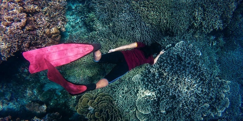 An image of a woman snorkeling, wearing a full suit and mask, holding equipments.