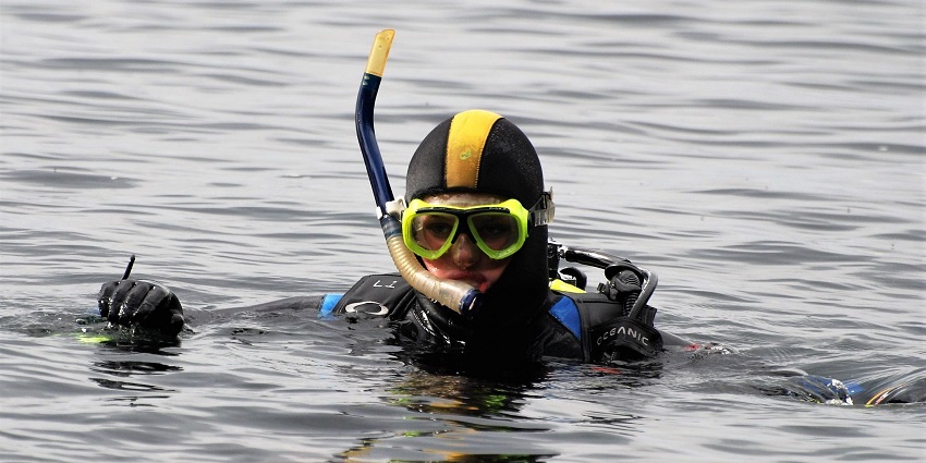 An image showing a person snorkelling in clear water, swimming near marine life.