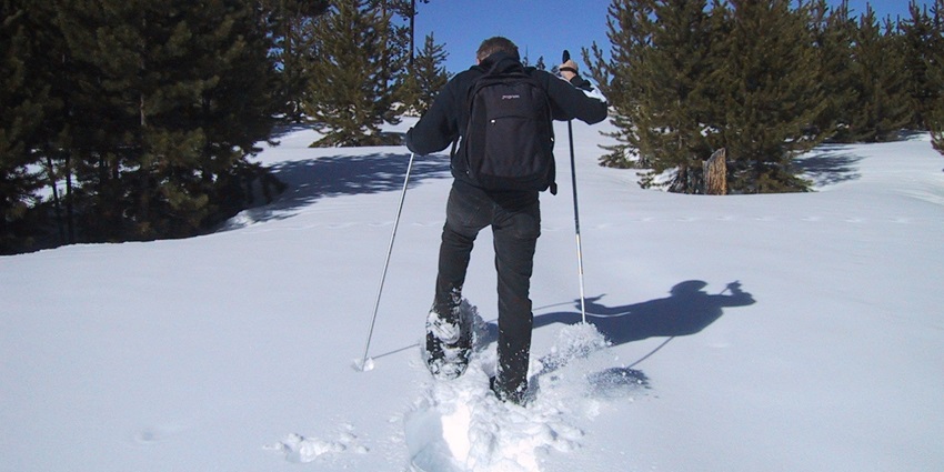 A person is trekking through deep snow while using poles for support in a forested area.