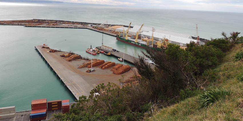Enjoying scenic views at Bluff Hill Lookout is one of the best things to do in Napier.
