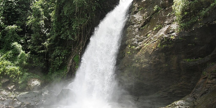An image of the free flowing Soochipara Waterfalls near the Heart Lake in Wayanad.