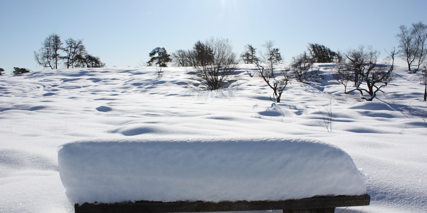 A snow-covered park with a lone empty bench in the middle and trees in the distance
