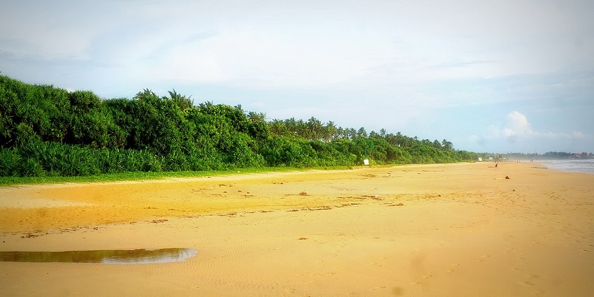 South Reef set out by boat south of Canoe Rock which offers rich marine life.