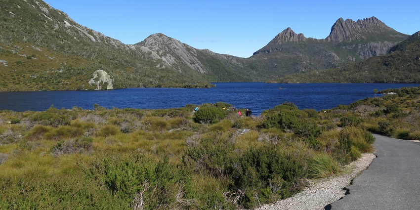 A picture of Cradle Mountain’s natural habitat for a lot of wildlife animals.