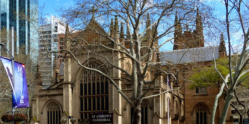 St. Andrew's Cathedral, Sydney, with parked cars and a leafless tree in the foreground