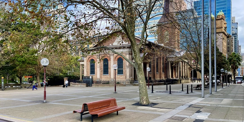 St. James' Church, Sydney, with a tree in front, buildings in the background, and a brown bench