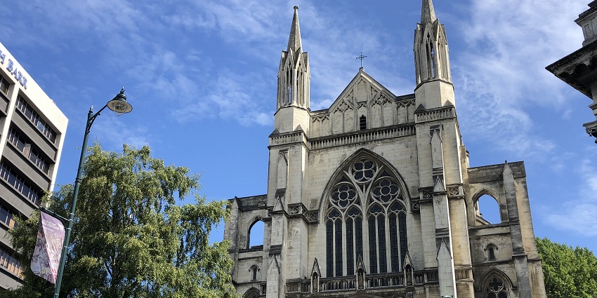 Wide shot of St Paul’s Cathedral side view with a large tree on the left under a clear sky