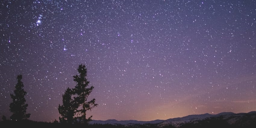 Sky full of vibrant and bright sky with multiple tall green trees - things to do in mammoth lakes in april