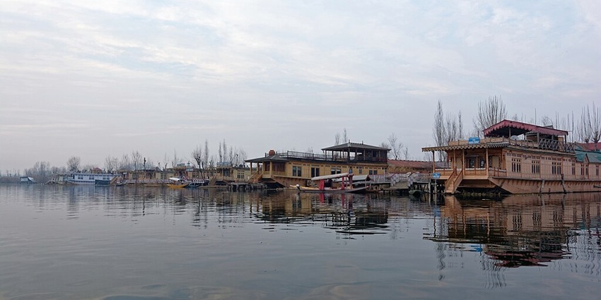 Multiple houseboats on Dal Lake with stairs, windows and dried-out trees beside them