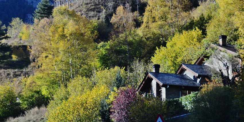 Tall pine trees rise above the arched houses as a mountain juts out in the far distance.