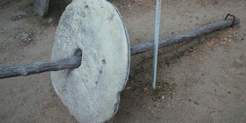 An image of a huge stone discs at the Stone Money Banks, one of the places to visit in Yap.