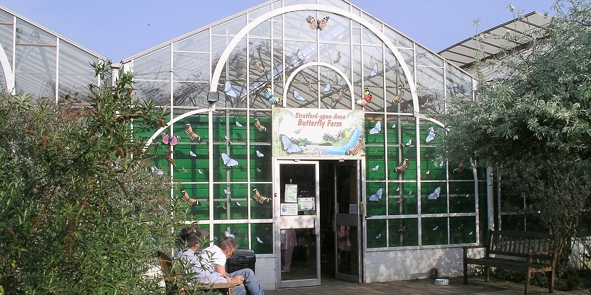 A view of the entrance area of the colourfully decorated greenhouse at a butterfly museum