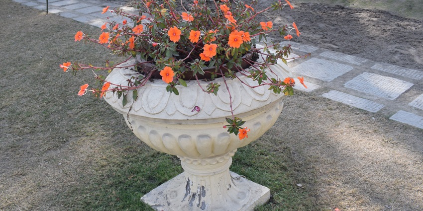 An inside view of the Garden of Dreams in Nepal featuring ornate pathways and more.