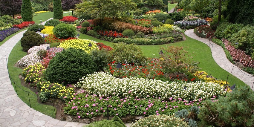 Stroll the serene gardens of BAPS Hindu Mandir, Abu Dhabi, and experience spiritual beauty