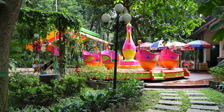 A glimpse of lush greenery and exotic flowers in the Saigon Botanical Gardens.