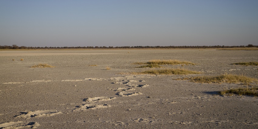 Plain pan in Botswana with a large salt pan body and small dry brown grass patches