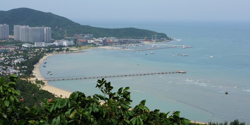 Image of palm trees lining a wide sandy beach with distant buildings and calm blue waters.