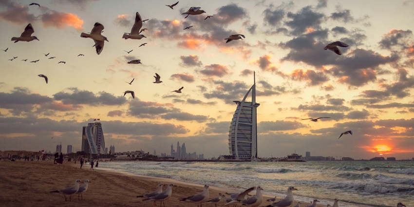 Image of a sunset over a Dubai beach, with silhouettes of birds flying over the cityscape