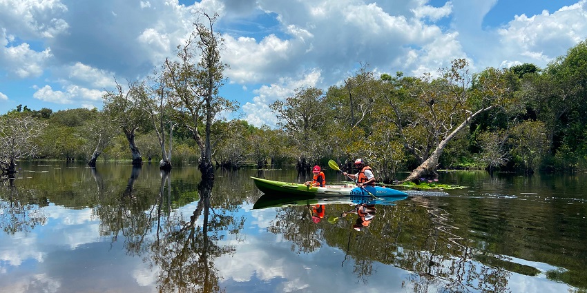 View of a boat in the lake surrounded by green gardens