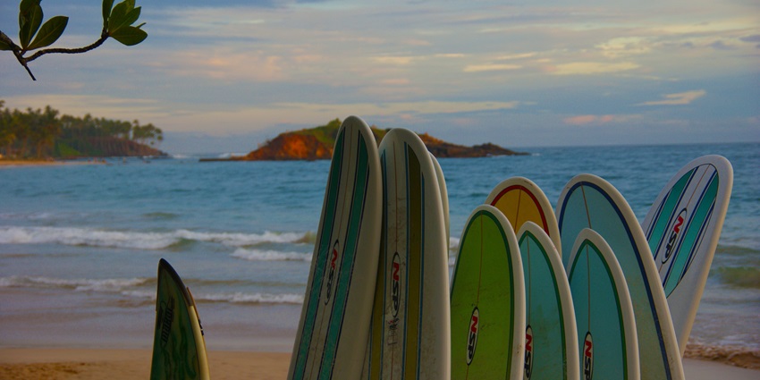 Surfboards at the Mirissa Beach, offering a thrilling activity for all adventure lovers