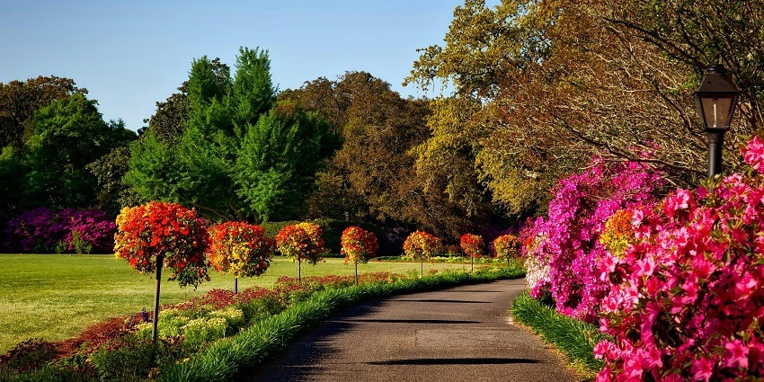 An image of a park with many flowers and lush greenery similar to Surya Sen Park