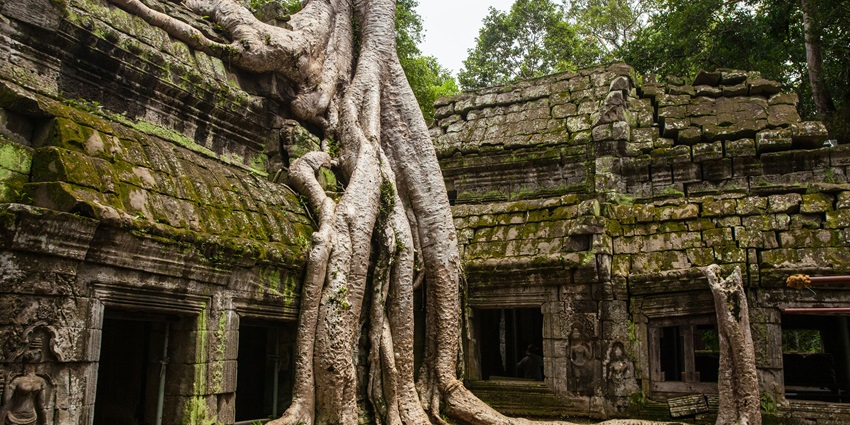 An image showing Ta Prohm, near Siem Reap, with its ancient stone temple and trees.