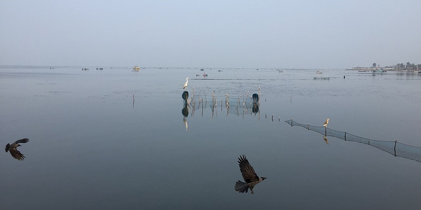 Image of Pannai Causeway surrounded by water, a place with true beauty