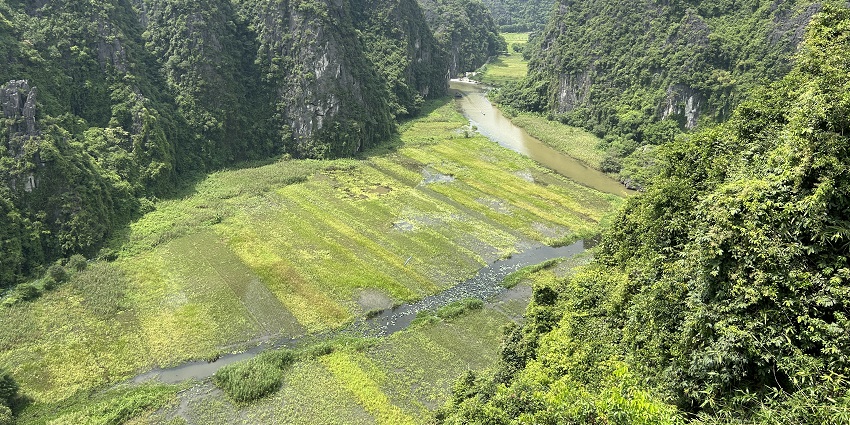 A scenic view of the Tam Coc rice fields, one of the top regions on the Ninh Binh tourist places list.