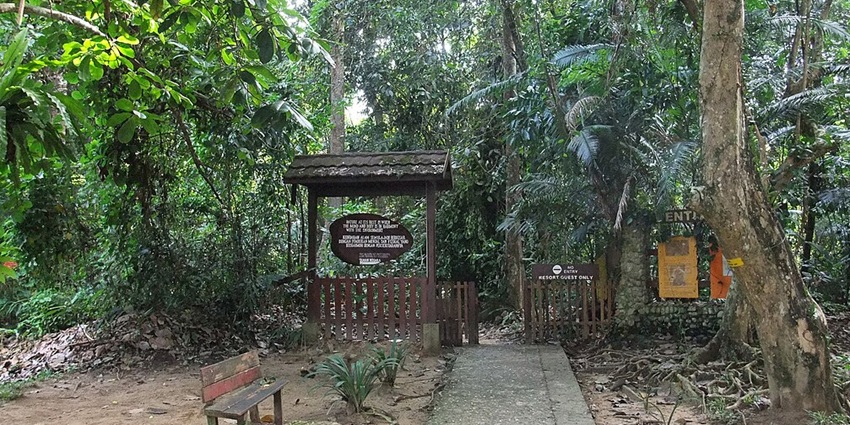 An image of the entrance of the Taman Negara National Park, a famous tiger wildlife sanctuary in the world