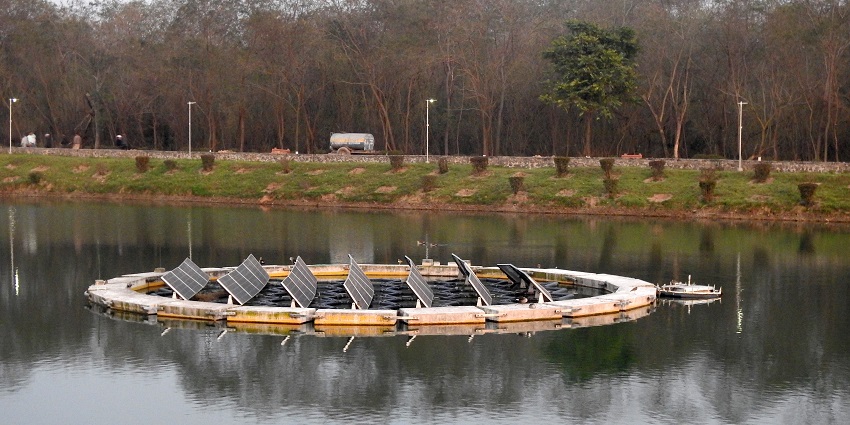 An image of a lake in Tamhini Ghat surrounded by lush greenery.