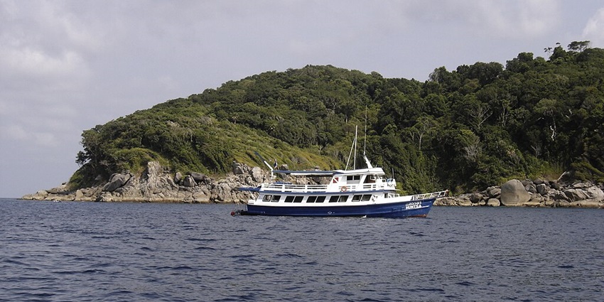 Discover the underwater wonders at the famous Tanjung Tokong dive site, a hidden gem near Redang Island